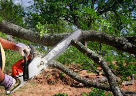 Lawn Irrigation Installation and Maintenance in Little Rock, AR